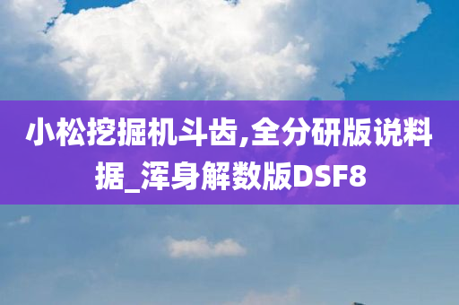 小松挖掘机斗齿,全分研版说料据_浑身解数版DSF8