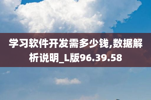 学习软件开发需多少钱,数据解析说明_L版96.39.58