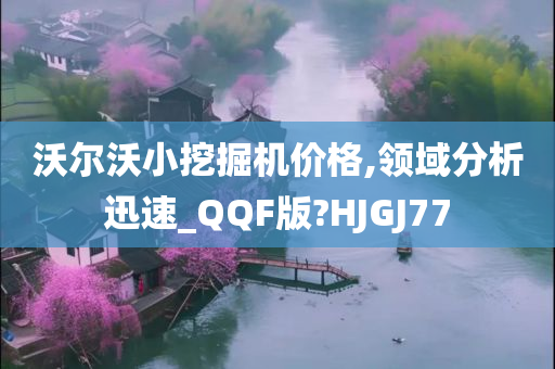 沃尔沃小挖掘机价格,领域分析迅速_QQF版?HJGJ77