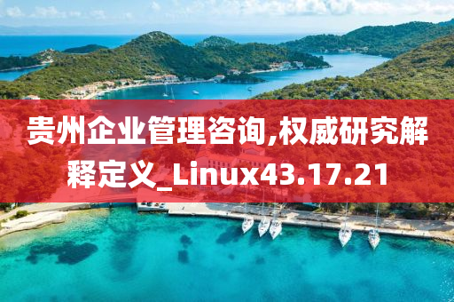 贵州企业管理咨询,权威研究解释定义_Linux43.17.21