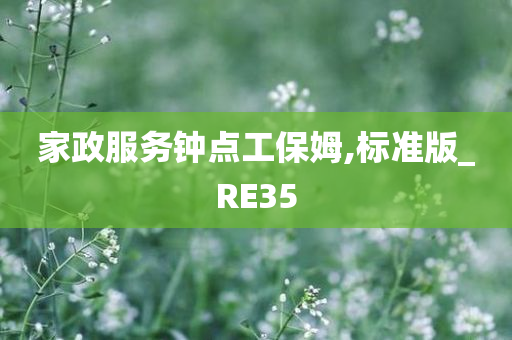 家政服务钟点工保姆,标准版_RE35