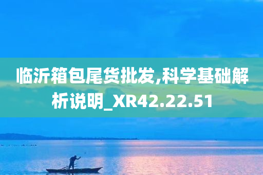 临沂箱包尾货批发,科学基础解析说明_XR42.22.51