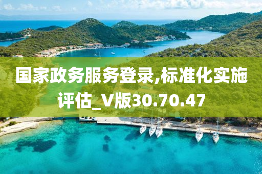 国家政务服务登录,标准化实施评估_V版30.70.47