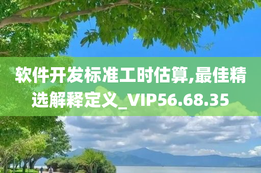 软件开发标准工时估算,最佳精选解释定义_VIP56.68.35