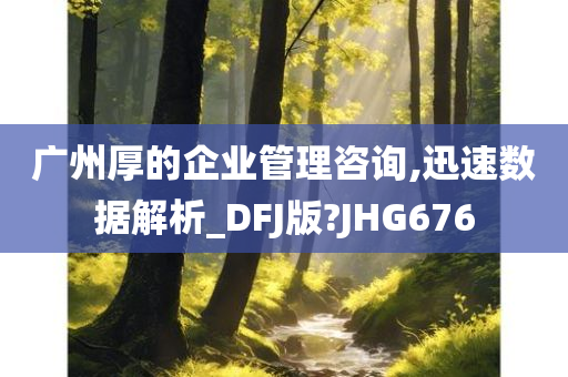 广州厚的企业管理咨询,迅速数据解析_DFJ版?JHG676