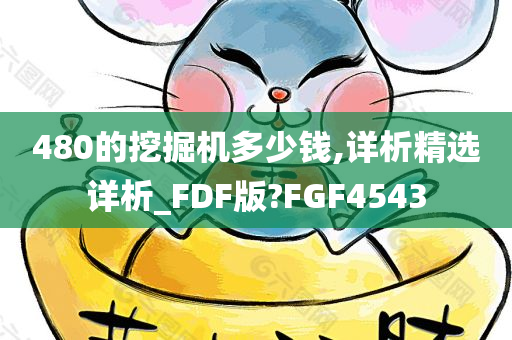 480的挖掘机多少钱,详析精选详析_FDF版?FGF4543