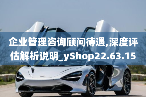 企业管理咨询顾问待遇,深度评估解析说明_yShop22.63.15