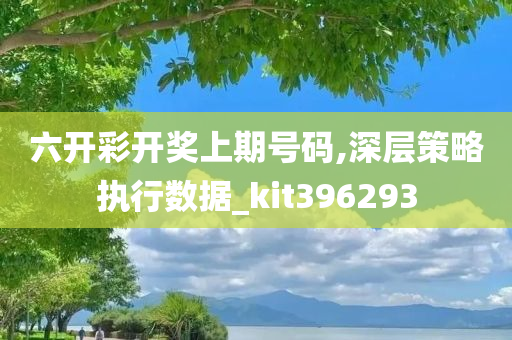 六开彩开奖上期号码,深层策略执行数据_kit396293