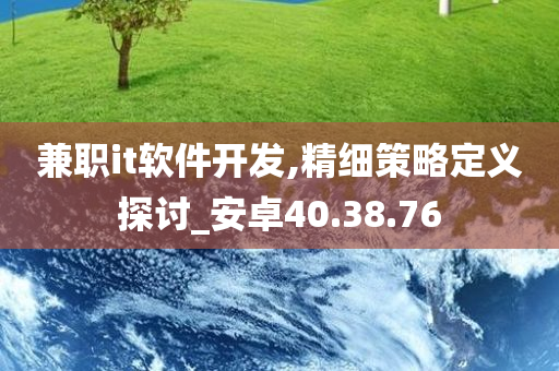 兼职it软件开发,精细策略定义探讨_安卓40.38.76