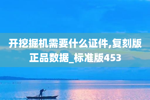 开挖掘机需要什么证件,复刻版正品数据_标准版453