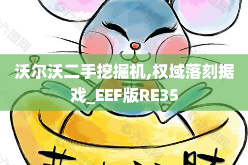 沃尔沃二手挖掘机,权域落刻据戏_EEF版RE35