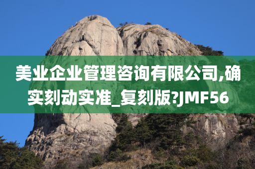 美业企业管理咨询有限公司,确实刻动实准_复刻版?JMF56