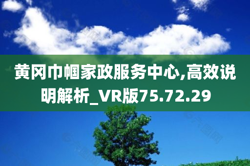 黄冈巾帼家政服务中心,高效说明解析_VR版75.72.29