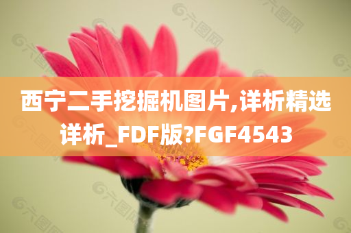 西宁二手挖掘机图片,详析精选详析_FDF版?FGF4543