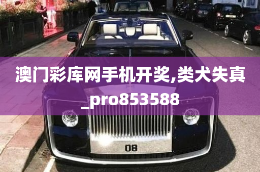 澳门彩库网手机开奖,类犬失真_pro853588