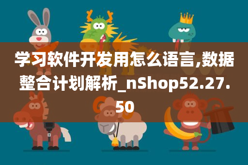 学习软件开发用怎么语言,数据整合计划解析_nShop52.27.50