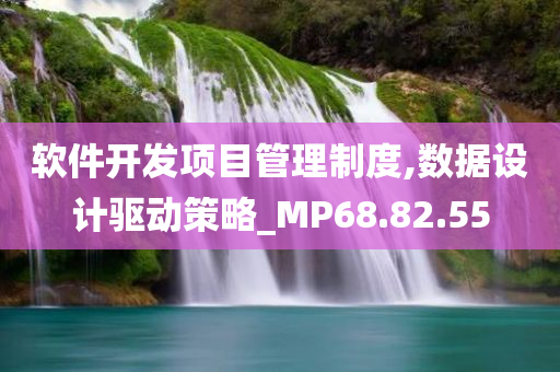 软件开发项目管理制度,数据设计驱动策略_MP68.82.55