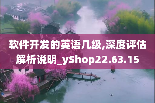 软件开发的英语几级,深度评估解析说明_yShop22.63.15