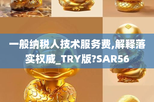 一般纳税人技术服务费,解释落实权威_TRY版?SAR56