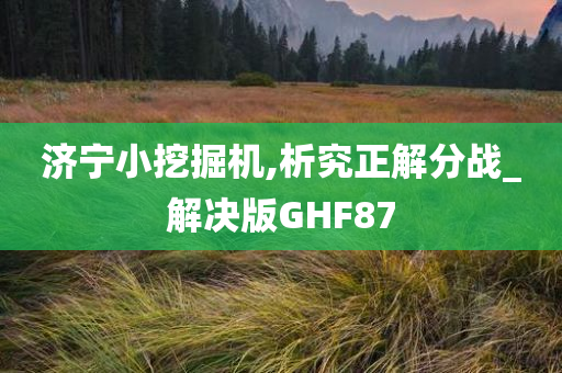 济宁小挖掘机,析究正解分战_解决版GHF87