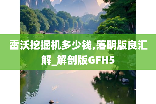 雷沃挖掘机多少钱,落明版良汇解_解剖版GFH5