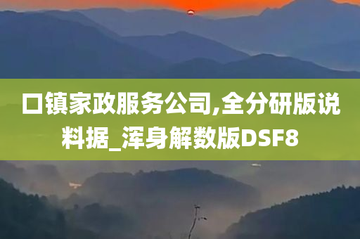 口镇家政服务公司,全分研版说料据_浑身解数版DSF8