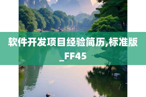 软件开发项目经验简历,标准版_FF45