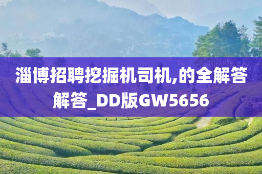 淄博招聘挖掘机司机,的全解答解答_DD版GW5656