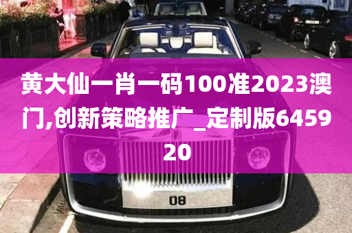 黄大仙一肖一码100准2023澳门,创新策略推广_定制版645920