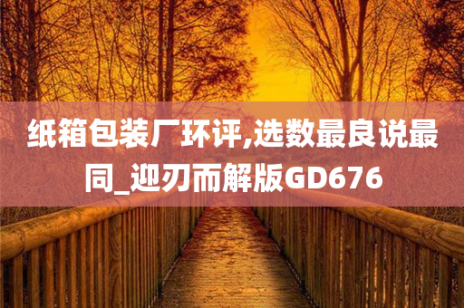 纸箱包装厂环评,选数最良说最同_迎刃而解版GD676