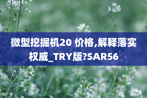 微型挖掘机20 价格,解释落实权威_TRY版?SAR56