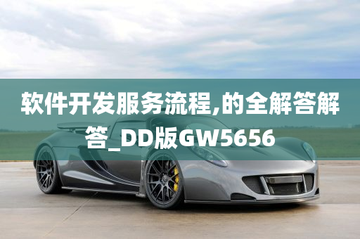 软件开发服务流程,的全解答解答_DD版GW5656