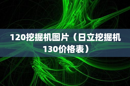 120挖掘机图片（日立挖掘机130价格表）