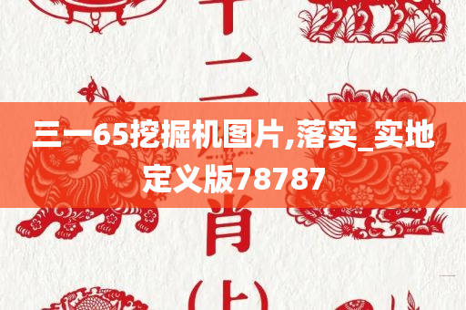 三一65挖掘机图片,落实_实地定义版78787