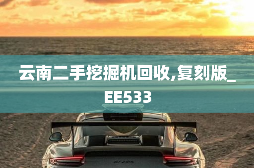 云南二手挖掘机回收,复刻版_EE533