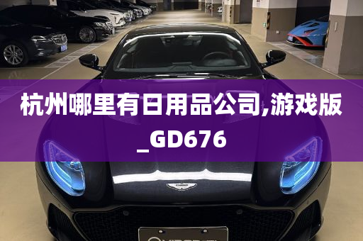 杭州哪里有日用品公司,游戏版_GD676