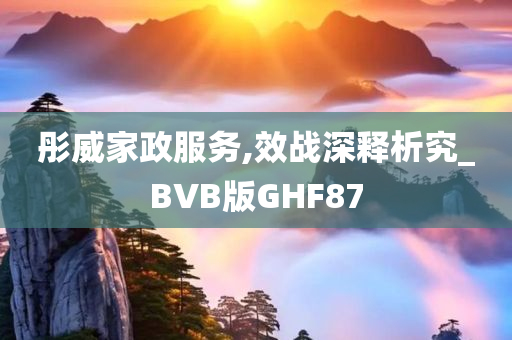 彤威家政服务,效战深释析究_BVB版GHF87