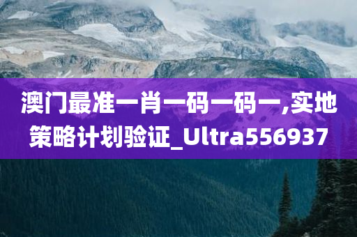 澳门最准一肖一码一码一,实地策略计划验证_Ultra556937