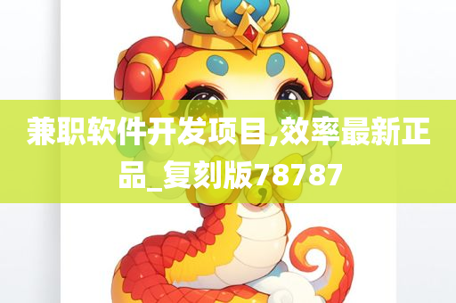 兼职软件开发项目,效率最新正品_复刻版78787