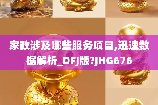 家政涉及哪些服务项目,迅速数据解析_DFJ版?JHG676