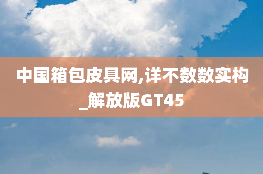 中国箱包皮具网,详不数数实构_解放版GT45