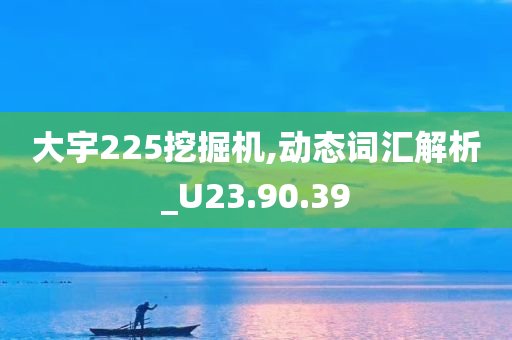 大宇225挖掘机,动态词汇解析_U23.90.39