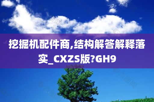 挖掘机配件商,结构解答解释落实_CXZS版?GH9