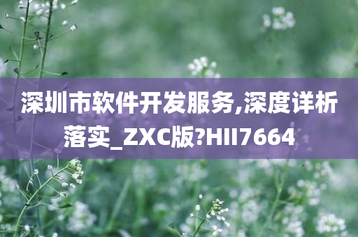 深圳市软件开发服务,深度详析落实_ZXC版?HII7664