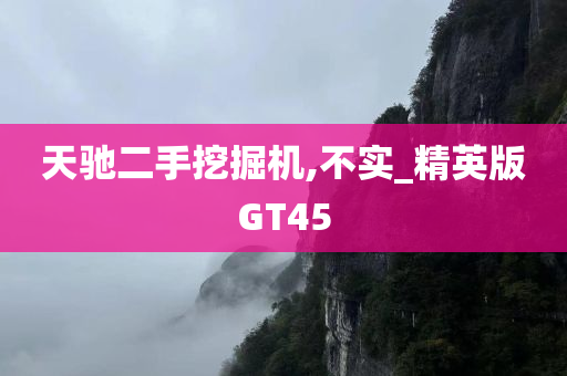 天驰二手挖掘机,不实_精英版GT45