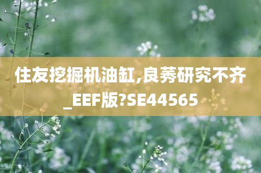 住友挖掘机油缸,良莠研究不齐_EEF版?SE44565