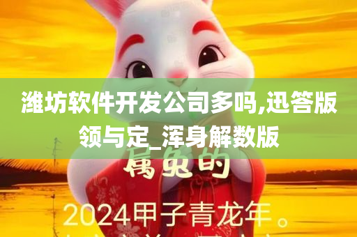 潍坊软件开发公司多吗,迅答版领与定_浑身解数版