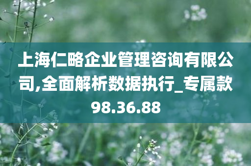 上海仁略企业管理咨询有限公司,全面解析数据执行_专属款98.36.88