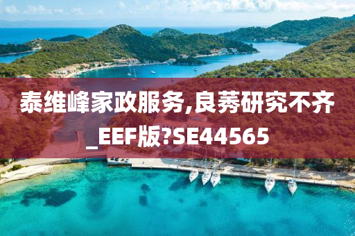 泰维峰家政服务,良莠研究不齐_EEF版?SE44565