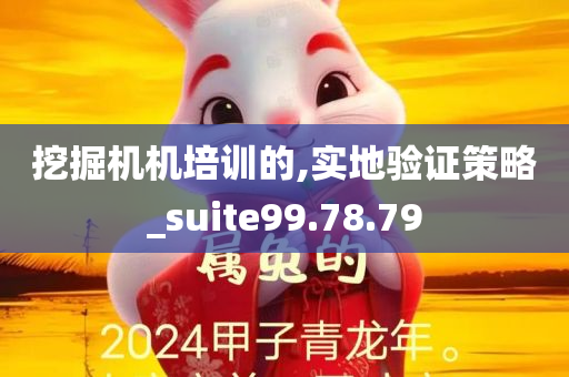 挖掘机机培训的,实地验证策略_suite99.78.79